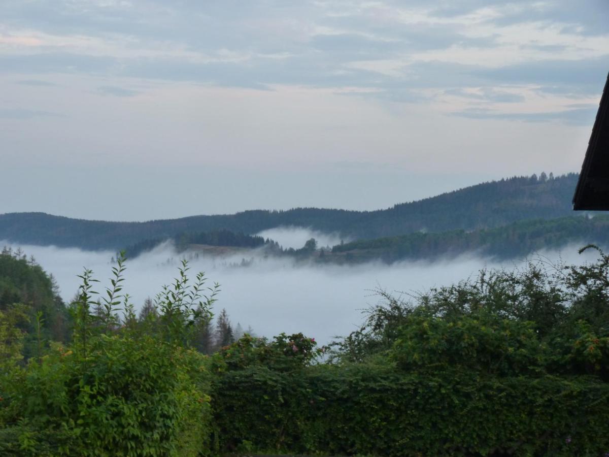 Hoffmanns Hotel Waldfrieden Garni Sankt Andreasberg Esterno foto