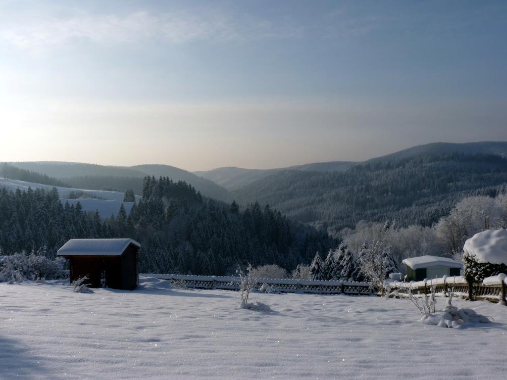 Hoffmanns Hotel Waldfrieden Garni Sankt Andreasberg Esterno foto