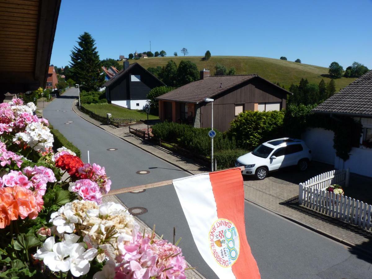 Hoffmanns Hotel Waldfrieden Garni Sankt Andreasberg Esterno foto