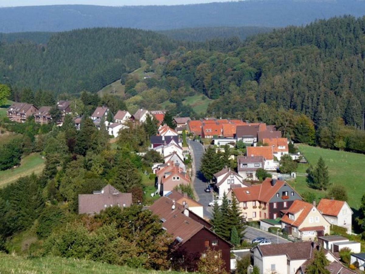 Hoffmanns Hotel Waldfrieden Garni Sankt Andreasberg Esterno foto