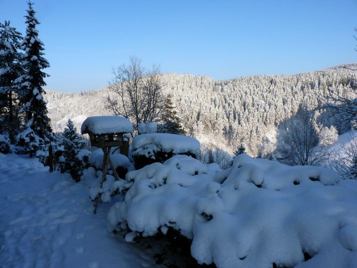 Hoffmanns Hotel Waldfrieden Garni Sankt Andreasberg Esterno foto